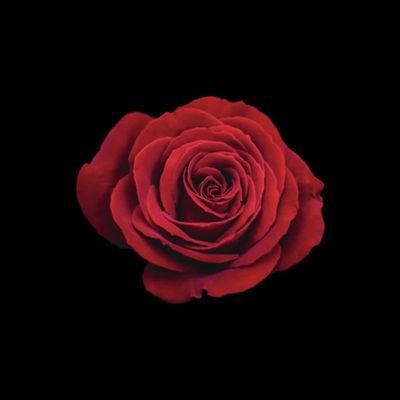 23_05267's profile picture. IND | I draw