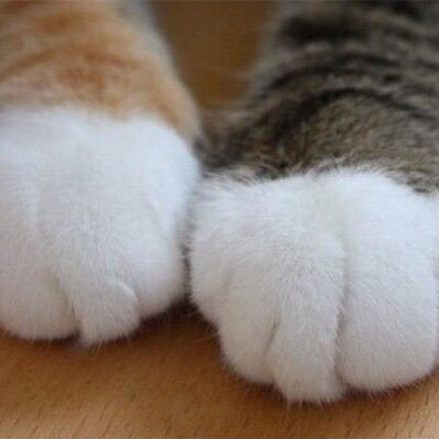 k77TQoFzTqh2MX3's profile picture. 凍結しちゃったからリセット