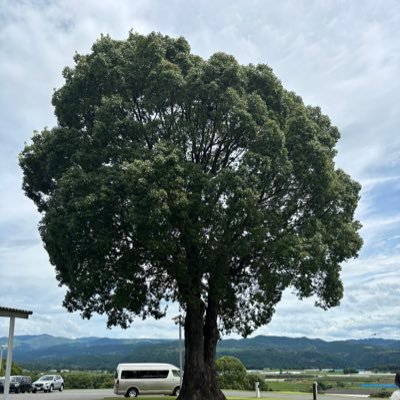 kusunoki0729's profile picture. 