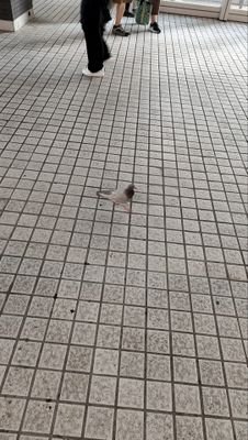 sunnyshine3867's profile picture. 