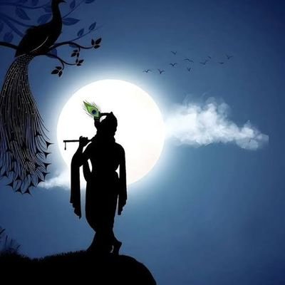 segal_singh's profile picture. Software Developer