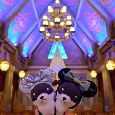 ゆずりんV🍎 (@yuzuringo417) / Posts / X