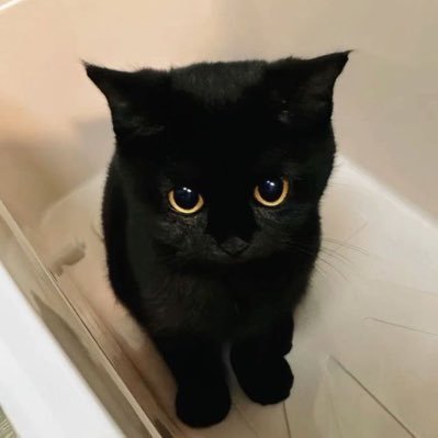 namlodosc's profile picture. 