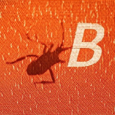 btcycle007's profile picture. Just hold it🔑💥👽Not financial advice