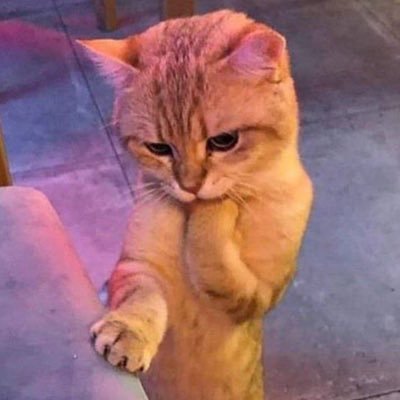 banana12gou39's profile picture. team @EGK_FNteam