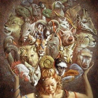 Love All Animals. Vegan. Particularly Champion Pigs. Involved in Animal Rights. Keyboard Warrior. Do Street Outreach / Peaceful Protests. Fighting Factory Farm.