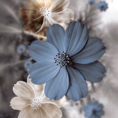 โELDOC ๐ต๐ธ๐ฆ๐ต๐ธ๐งโ๐ฌ๐ฎโโ๏ธ Profile