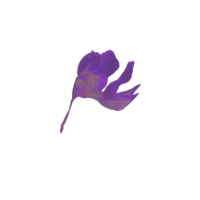 πππππ. (@sc_ttering) 's Twitter Profile