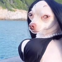 @anonymousJ (@anonymousrosiej) 's Twitter Profile