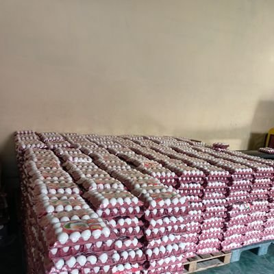 @E81002817Efe