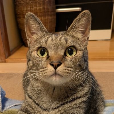 ツグミさんのプロフィール画像