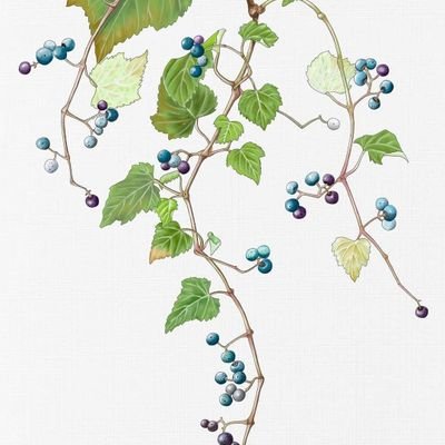 yym538's profile picture. 