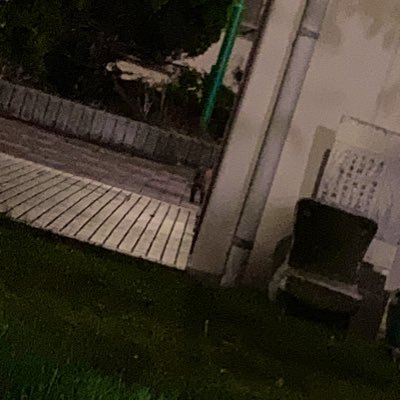 ananas_hat3's profile picture. ボカロPやる