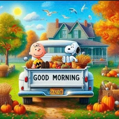 Rudolfomor56422's profile picture. 