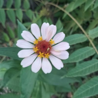 女風ユーザー歴3ヶ月🐥
経験人数まだ一人
回遊先探してます🫡
地味系くそBBA💋
↑40
顔も体型も全力でおばちゃん🧓
ミセスと猫と珈琲とカラオケが好き
経験値低いので女風に関する呟き少なめです🙃
無言フォロー失礼します🙏フォローしてくれたら嬉しいです😊
ユーザーさん仲良くしてください🫶💖