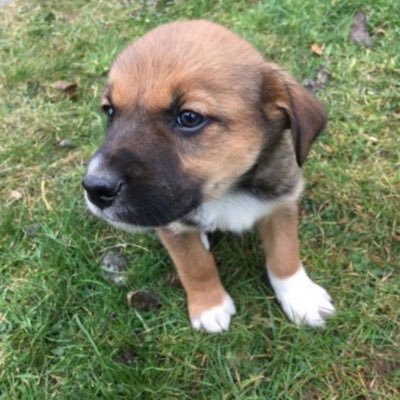 jay_matt419's profile picture. Sharing my world and what I like