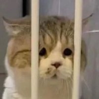 bortor. (@_xbtx) 's Twitter Profile