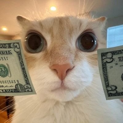 Best fills. Low fees. Memecoins only.
👉 https://t.co/knWPeqJ9H0