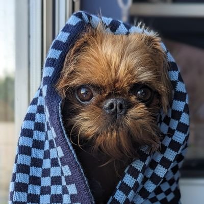 DuncanJGibbons's profile picture. 