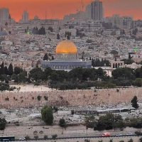 dana||Gaza🇵🇸 (@dodo2006___) 's Twitter Profile