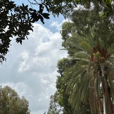 ذات شــــــأن وحـــظــاً عـــظــيــم وروحــاً جمــيلــه ♔ 𝐵𝑎𝑐ℎ𝑒𝑙𝑜𝑟’𝑠 𝑑𝑒𝑔𝑟𝑒𝑒 𝑖𝑛 𝑘𝑖𝑛𝑑𝑒𝑟𝑔𝑎𝑟𝑡𝑒𝑛 👼🏻 ❥❥. 🤍HR
