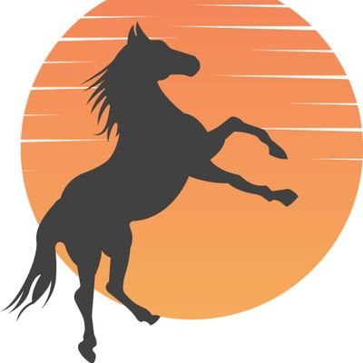 مهتم بمتابعة الأخبار الدولية والاقتصادية والاجتماعية والثقافية والرياضية وأحب مواقع التواصل الاجتماعي التي تتيح التفاعل مع الآخرين