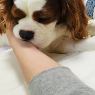 veryvery_horse's profile picture. （推）アカイイト×幸英明Ｊ×若林さん