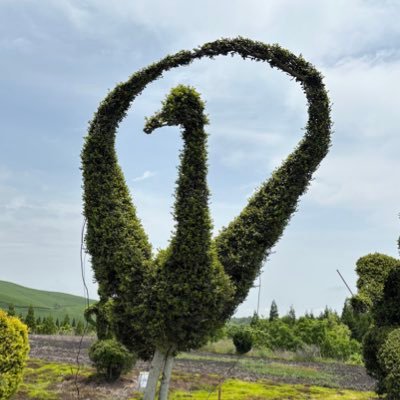 bana00's profile picture. 