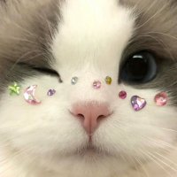 ₘₐᵣᵢₙ໒꒱ (@_____moooomin) 's Twitter Profile