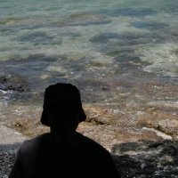 まつしょー🦈 (@ringo3shark513) 's Twitter Profile