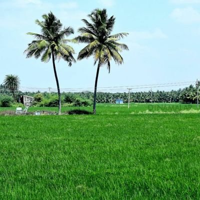 jeinr_jeinr's profile picture. 