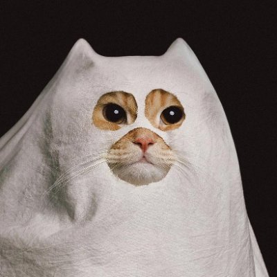 nadg0b's profile picture. just a silly cat who loves chess and musica

ambassador @42space