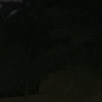 HarkonVv's profile picture. 