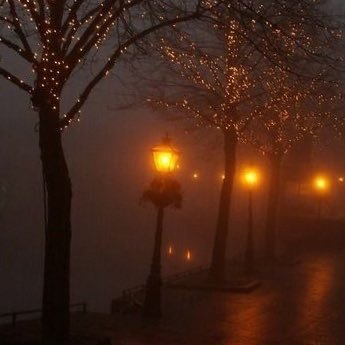 3_tdy6's profile picture. 20⤵️義務教育終了済 ロリィタさんのお友達ほしいです 🧡🤍のか担 ゆき担 のかまにあ