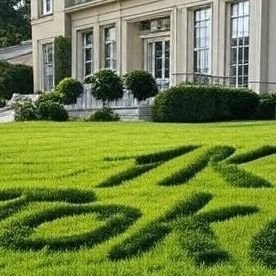 Fibostudios's profile picture. Fibonacci