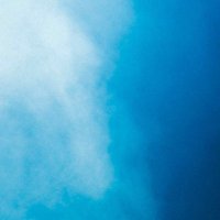 ウィステリア🐟️ (@wisteria_fish) 's Twitter Profile Photo