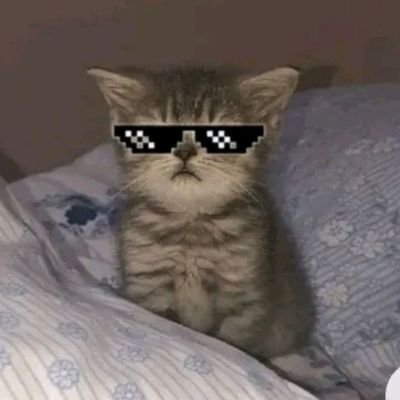 esposad_zenitsu's profile picture. mi estabilidad mental depende de Zenitsu Agatsuma ⚡