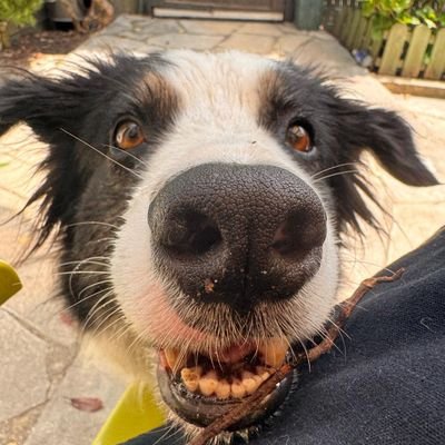 J23Mirou's profile picture. 😂😂😂