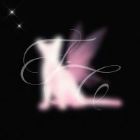 Fairies confes 𑁤 (@ccfairixss) 's Twitter Profile