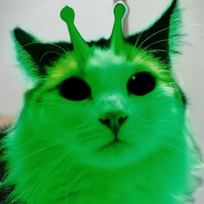 Crus4derKatt's profile picture. glorp