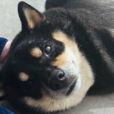 zuggty_'s profile picture. 别管我了呗