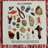 PoetDeanwilson6's profile picture. New book - https://t.co/QELrVsbegs New CD - https://t.co/BB8o2JAbZ3    Live Album, Beach Finds and audiobook https://t.co/cthwOyZvvx