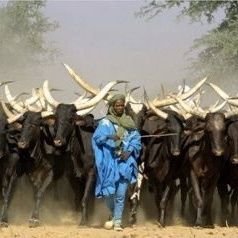 Unite. Empower. Inspire. Amplifying the voices of Arewa, standing together in strength, culture, and progress.✌️🥰🤝👏💪🥰