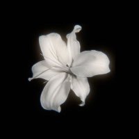 ִֶָ (@bamiethikr) 's Twitter Profile