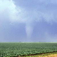 Storm Scotter (@stormscotter) 's Twitter Profile