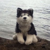 Matthew (@muttboy256) 's Twitter Profile