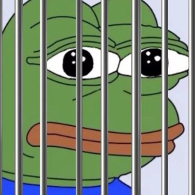 punishedfren_'s profile picture. I hate Niger 🇳🇪