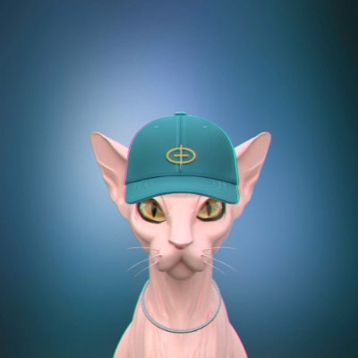 ๐ฆ๐ฃ๐๐ก๐ซ Profile