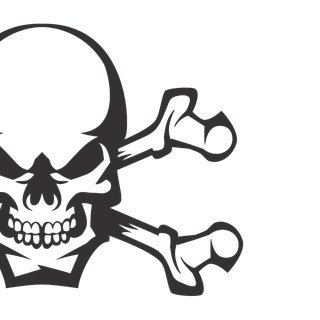 DucDo516324's profile picture. 