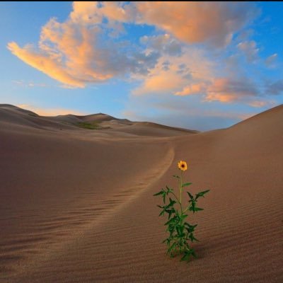 Nsr_7v's profile picture. v